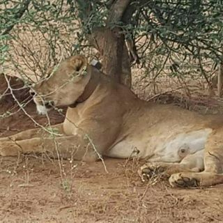 Profile Picture of Stephen Tappi (@stephen.tappi) on Facebook