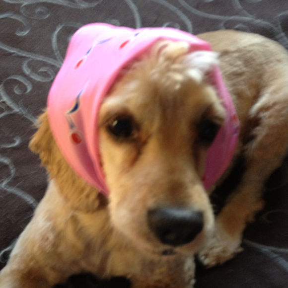 Profile Picture of Penny Berkun (@micropennie) on Poshmark