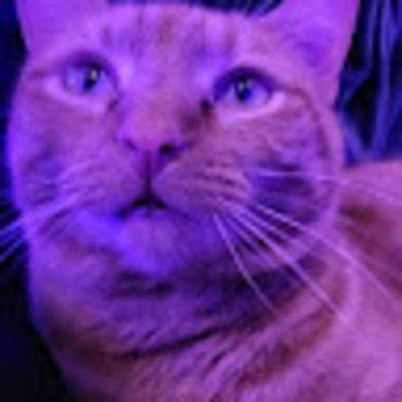 Profile Picture of Cameron Robbins (@cameronrobbi285) on Poshmark