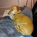 Profile Picture of Bob Tantalo (@bobtantalo) on Pinterest