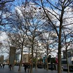 Profile Picture of kate steffens (@catherinasteffens) on Instagram