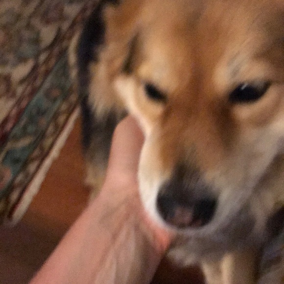 Profile Picture of Kelley Welden (@kcwelden) on Poshmark