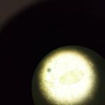 Profile Picture of tadele alemu demlew (@tadelealemudemlew) on Instagram