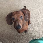 Profile Picture of Mel Chapman (@mmchapman00) on Instagram