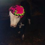 Profile Picture of Keith Merrick (@keithmerrick04) on Instagram