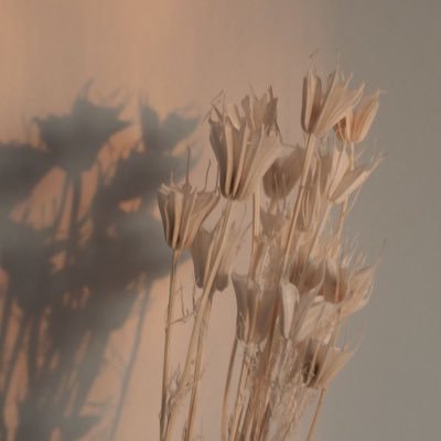 Profile Picture of Lisa Alexandra Wold (@Lisa386654381) on Twitter