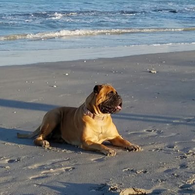 Profile Picture of Lisa Heffner (@duranyabmstf) on Twitter