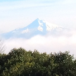 Profile Picture of Shawn Mershon (@shm_qltr) on Flickr