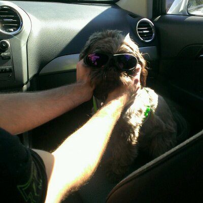 Profile Picture of Kelly Savickas (@RhodeRunnette) on Twitter