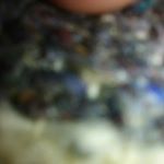 Profile Picture of Jeff McCurry (@jeff.mccurry.545) on Instagram