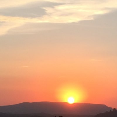 Profile Picture of Ivy Stein (@ivy_stein) on Twitter