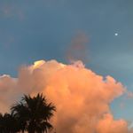 Profile Picture of Peter Barry (@petersbarry) on Instagram