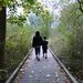 Profile Picture of Pamela Schultz (@fschultz5509) on Pinterest