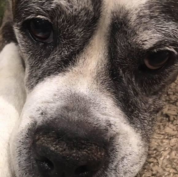 Profile Picture of Sheila Nostrant (@fmlyfrst) on Poshmark