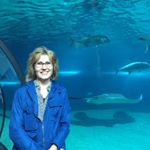 Profile Picture of Debra Irving (@debbiejirving) on Instagram
