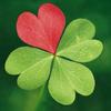 Profile Picture of cloverjordan03 (@cloverjordan03) on Tiktok