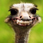 Profile Picture of Amanda Nangle (@abear2008) on Instagram