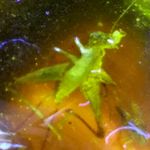 Profile Picture of Barry Michael Hartmann (@make.promises.never.threats) on Instagram