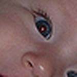 Profile Picture of Kim Gougeon (@kgougeon) on Flickr