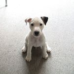 Profile Picture of michèle wattenhofer (@michele.625) on Instagram