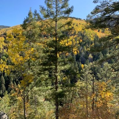 Profile Picture of Daniel (@dy) on Twitter