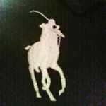 Profile Picture of Joshua Wheeler (@ball_is_life_you_heard) on Instagram