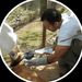 Profile Picture of Bernardo Eckhardt (@bernardoeckhardt) on Pinterest