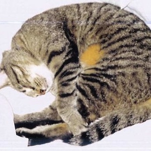 Profile Picture of George Shaw (@killerofbirds) on Myspace