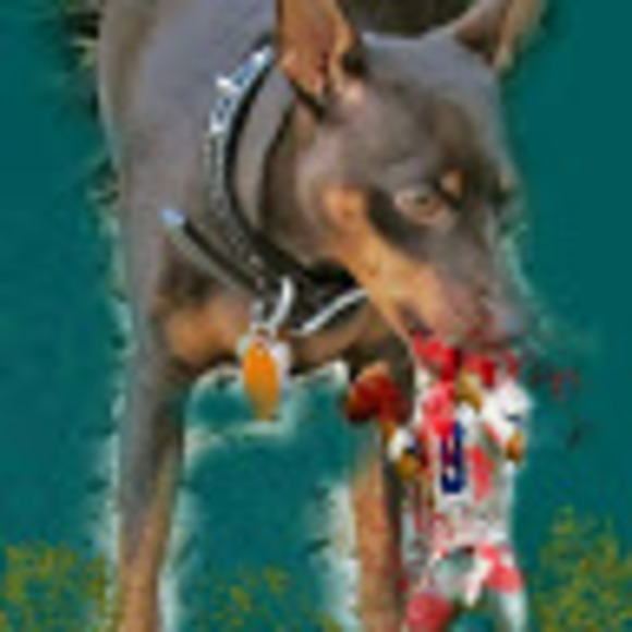 Joey Macias - Poshmark Profile Picture of Joey Macias (@muralsbyrgue) on Poshmark