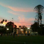 Profile Picture of Tony Serafin (@xdicex) on Instagram