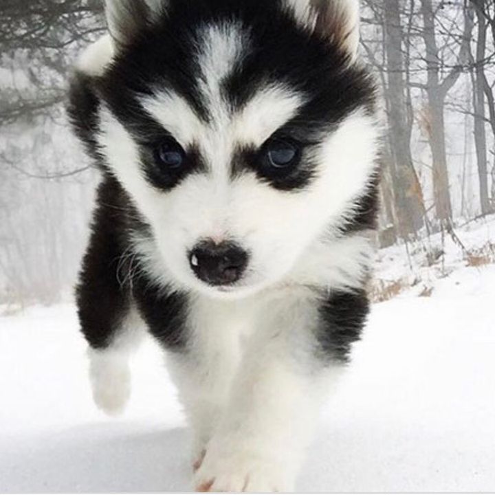 Profile Picture of patrickkearns88 (@patrickkearns88) on Tiktok