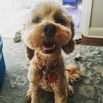 Profile Picture of Sarah Irwin (@sarah.irwin.505) on Facebook