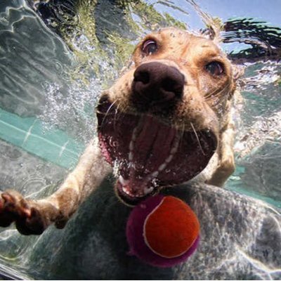 Profile Picture of Brian Crosson (@CrossonBrian1) on Twitter