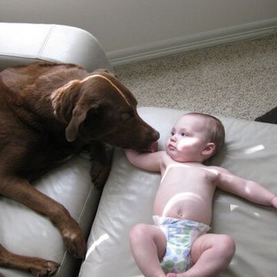 Profile Picture of Chris Carhart (@carhart26) on Twitter