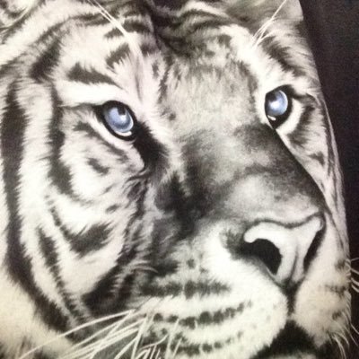 Profile Picture of Jacob Colby Nutt (@jacobnutt0) on Twitter