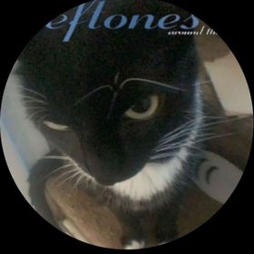 Profile Picture of Ivy Alexander (@ivy_alexander) on Pinterest