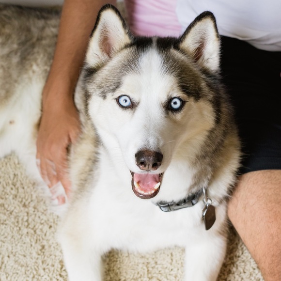 Profile Picture of Alli Deneweth (@allideneweth) on Poshmark