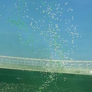 Profile Picture of Marcel Hoffmann (@marcelhoffmann8) on Twitter