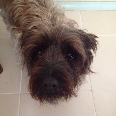 Profile Picture of Dave McMinn (@@dave_mcminn) on Twitter