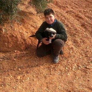 Profile Picture of David Daniel Lorenzo Cronembold (@daviddaniel.lorenzocronembold.1) on Facebook