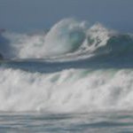 Profile Picture of John Harlan-Environmentalist (@plasticpicker) on Instagram