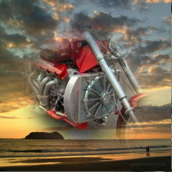 Profile Picture of Mark Batarick (@bowshooter1960) on Poshmark