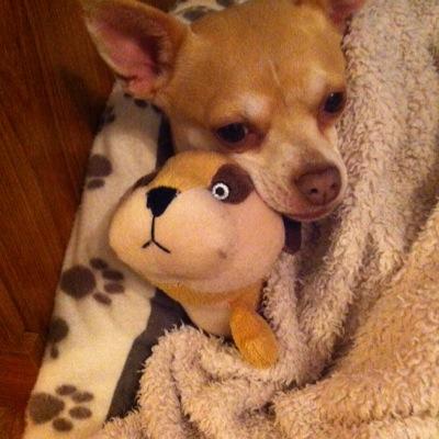 Profile Picture of Jean Downes (@DownesJean) on Twitter