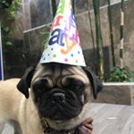 Profile Picture of Kristian Lopez (@evopapii) on Instagram