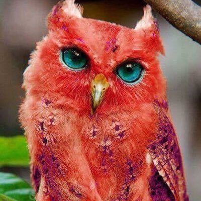 Profile Picture of Juan Vicente Jiménez (@JuanVicenteJim5) on Twitter