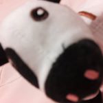 Profile Picture of Dennis Gao (@neat_dennis) on Instagram