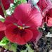 Profile Picture of Doris Keller (@doris.keller.927980) on Facebook
