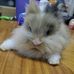 Profile Picture of Lily Pang (@Lily-Pang) on Facebook