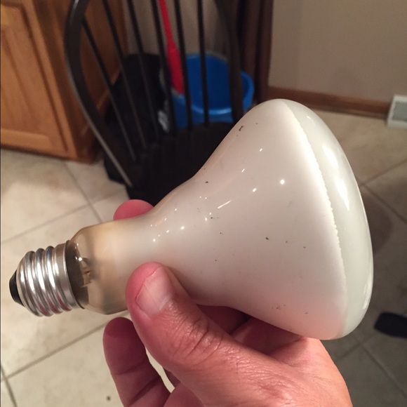 Robert Rhodes - Poshmark Profile Picture of Robert Rhodes (@rob5103) on Poshmark