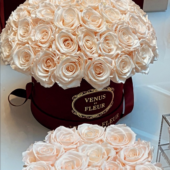 Profile Picture of Daniella Shamalova (@dshamalova) on Poshmark